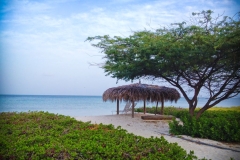 Shady spot at Malmok Aruba
